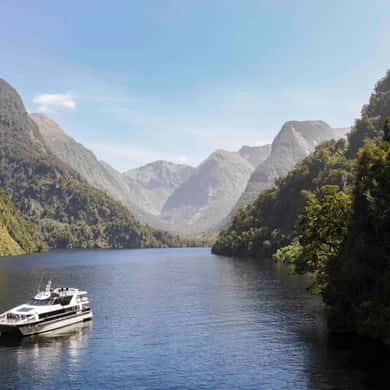 A day boat in a forested fiord arm below a line of peaks