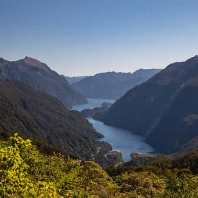 A fiord's head seen from a forested lookout high above the water