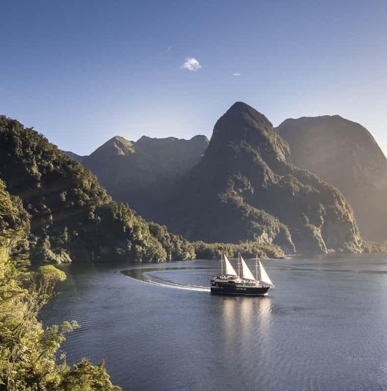 From Queenstown: Doubtful Sound Wilderness Day Trip
